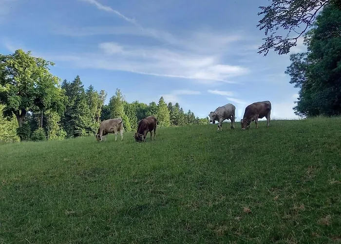 Lägenhet Auszeit